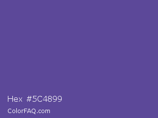 Hex #5c4899 Color Image