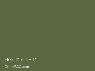 Hex #5c6841 Color Image
