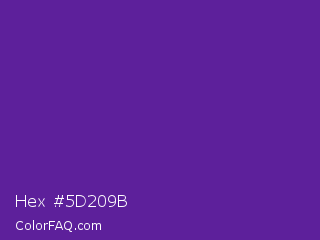 Hex #5d209b Color Image