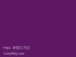 Hex #5e1763 Color Image