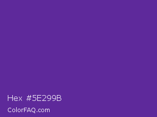 Hex #5e299b Color Image