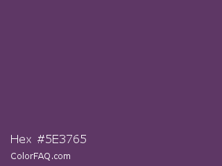 Hex #5e3765 Color Image
