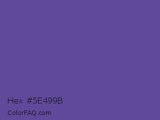 Hex #5e499b Color Image