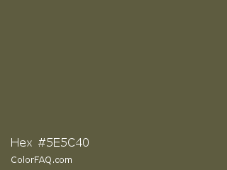 Hex #5e5c40 Color Image