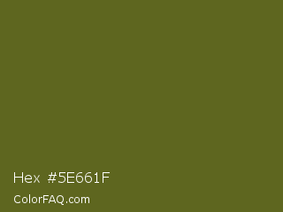 Hex #5e661f Color Image