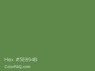 Hex #5e894b Color Image