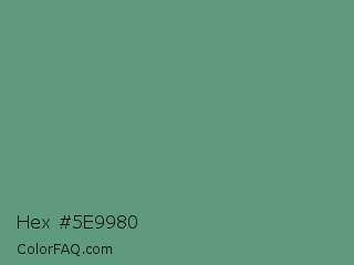 Hex #5e9980 Color Image
