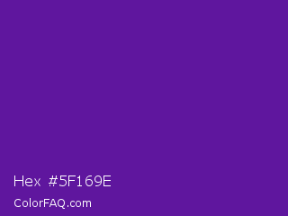 Hex #5f169e Color Image