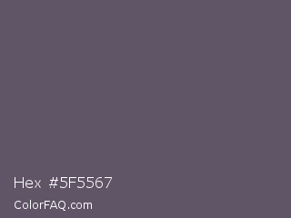 Hex #5f5567 Color Image