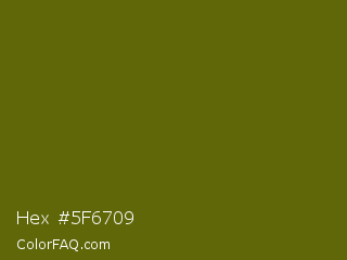 Hex #5f6709 Color Image