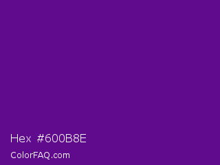 Hex #600b8e Color Image