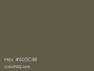 Hex #605c48 Color Image