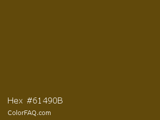 Hex #61490b Color Image