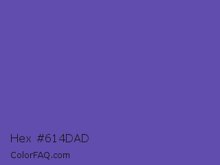 Hex #614dad Color Image