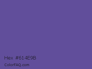 Hex #614e9b Color Image