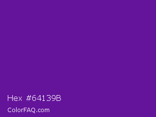 Hex #64139b Color Image
