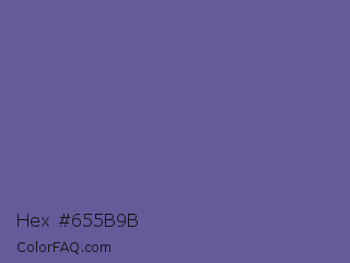 Hex #655b9b Color Image