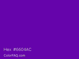 Hex #6604ac Color Image
