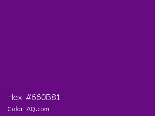 Hex #660b81 Color Image