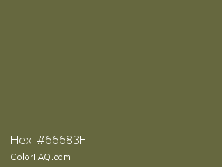 Hex #66683f Color Image