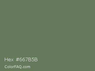 Hex #667b5b Color Image