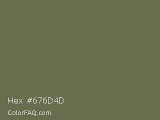 Hex #676d4d Color Image