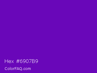Hex #6907b9 Color Image