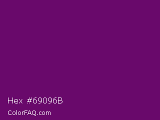 Hex #69096b Color Image