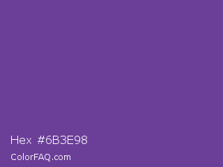 Hex #6b3e98 Color Image