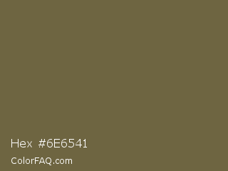 Hex #6e6541 Color Image