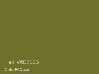 Hex #6e712b Color Image