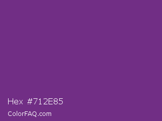 Hex #712e85 Color Image