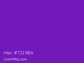 Hex #7219ba Color Image