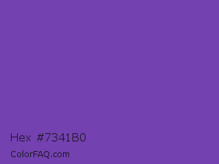 Hex #7341b0 Color Image