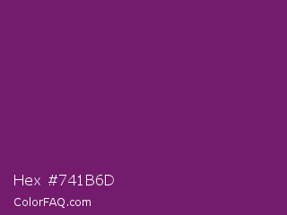 Hex #741b6d Color Image
