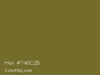 Hex #746c2b Color Image
