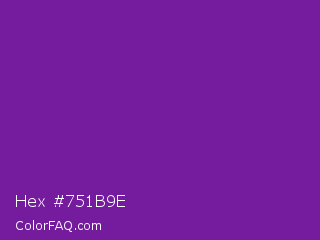 Hex #751b9e Color Image