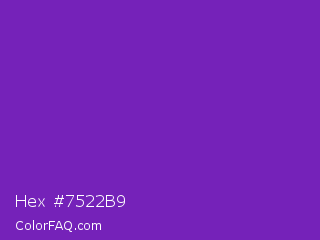 Hex #7522b9 Color Image