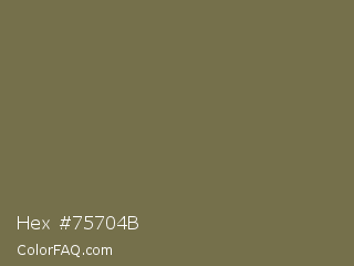 Hex #75704b Color Image