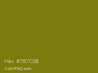 Hex #787c0b Color Image