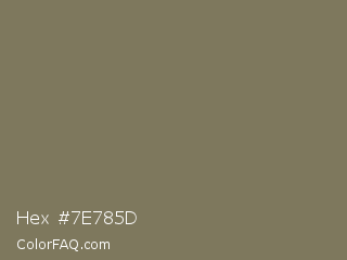 Hex #7e785d Color Image