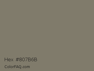 Hex #807b6b Color Image