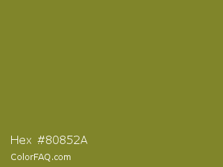 Hex #80852a Color Image