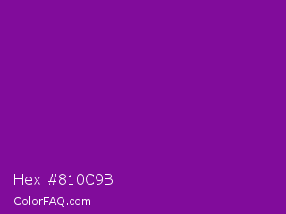 Hex #810c9b Color Image