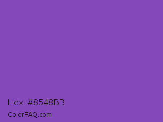 Hex #8548bb Color Image