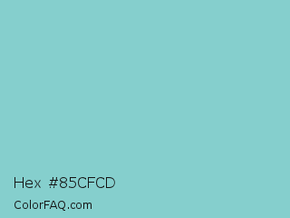 Hex #85cfcd Color Image