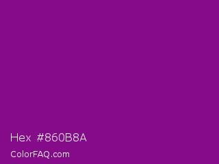 Hex #860b8a Color Image