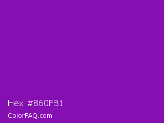 Hex #860fb1 Color Image