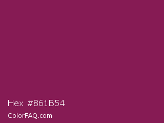 Hex #861b54 Color Image