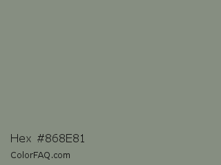 Hex #868e81 Color Image
